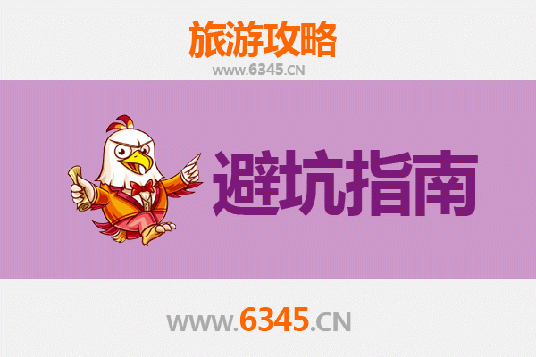 庆阳旅游全攻略：资深博主亲授五大忠告与深度游指南