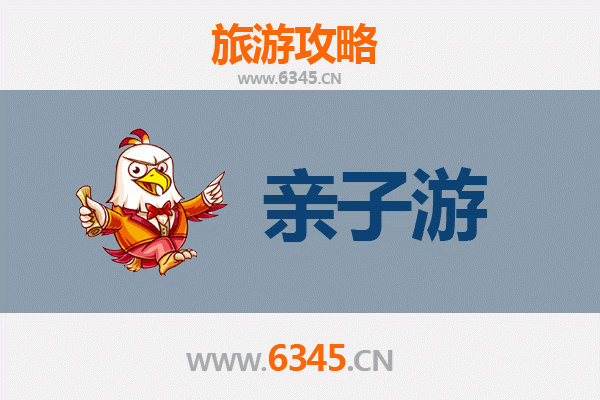 庆阳环县亲子游攻略：探索陇东风情，共享家庭欢乐时光
